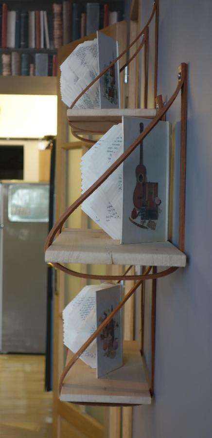 Le Bouquiniste, Centre Historique, Fibre, Ess, Rez-De-Chaussee, Bedinshop Romans-sur-Isère Εξωτερικό φωτογραφία
