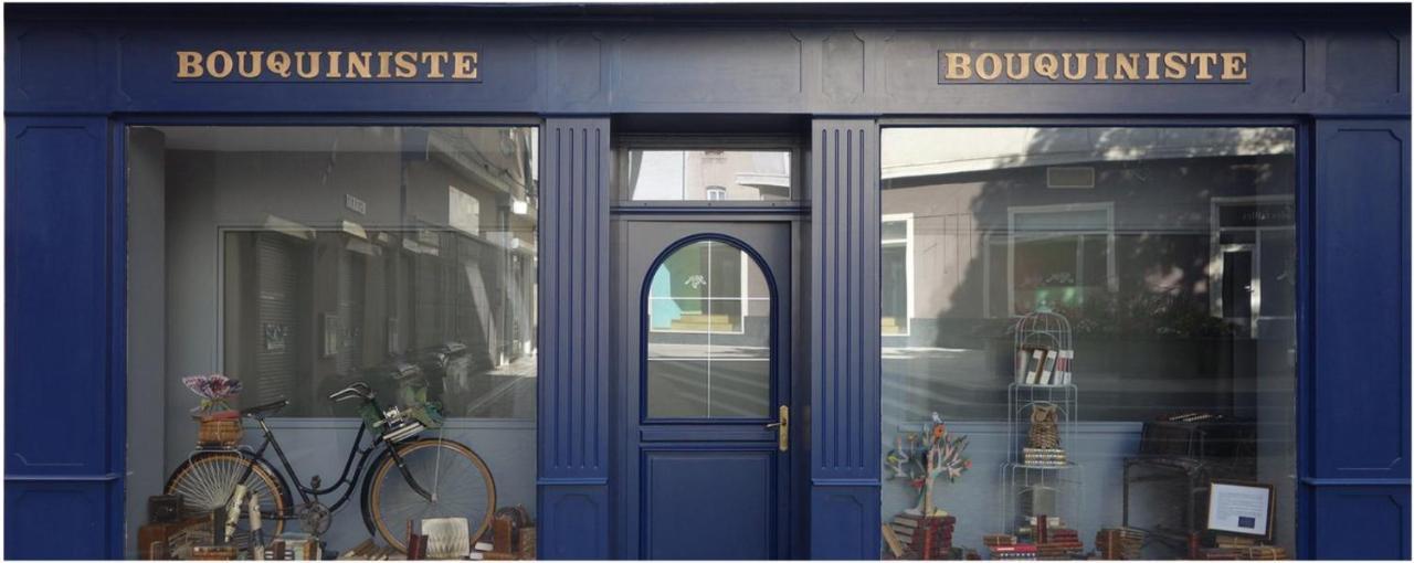 Le Bouquiniste, Centre Historique, Fibre, Ess, Rez-De-Chaussee, Bedinshop Romans-sur-Isère Εξωτερικό φωτογραφία