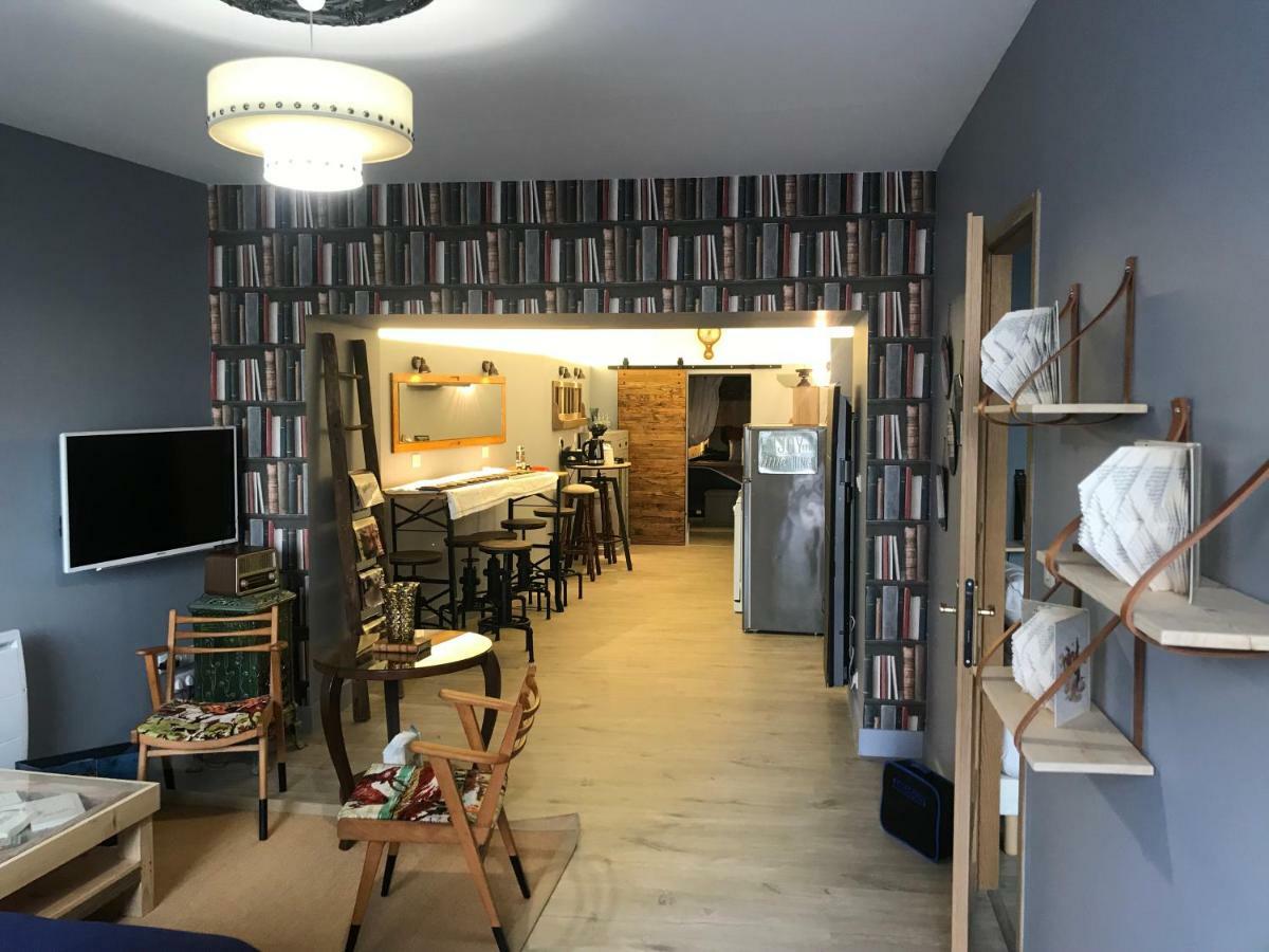 Le Bouquiniste, Centre Historique, Fibre, Ess, Rez-De-Chaussee, Bedinshop Romans-sur-Isère Εξωτερικό φωτογραφία