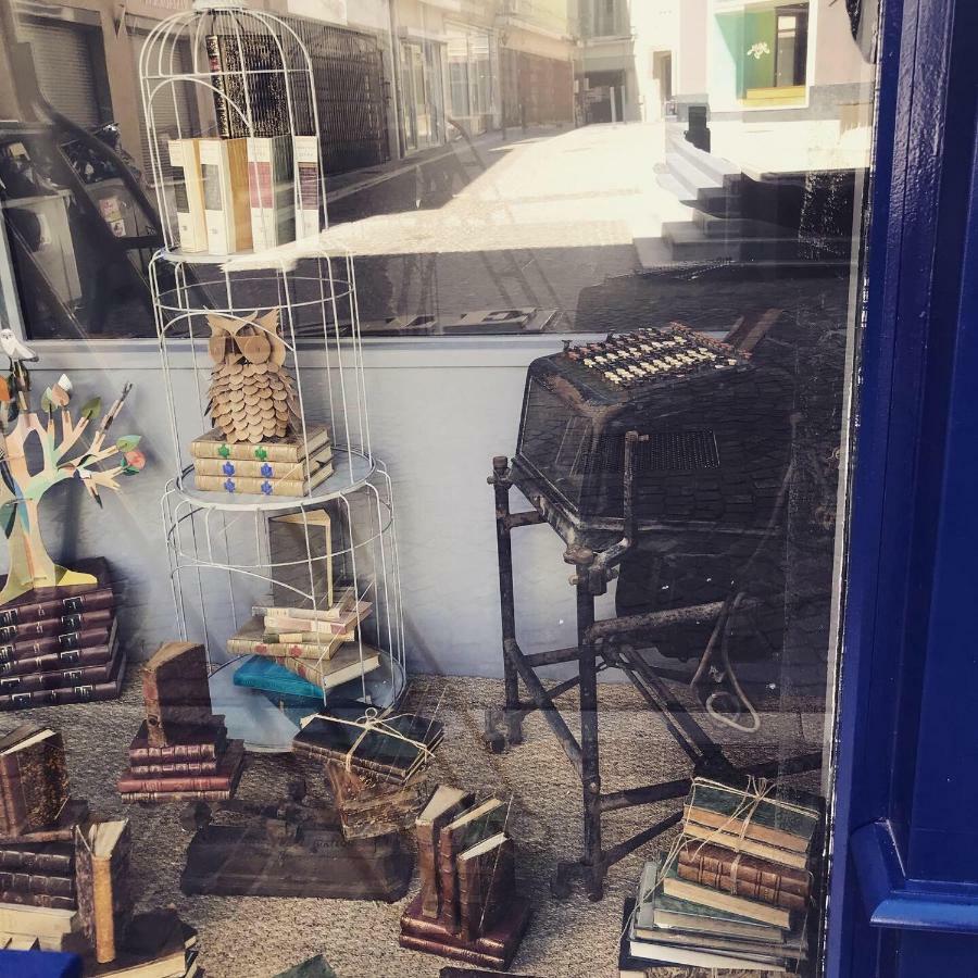 Le Bouquiniste, Centre Historique, Fibre, Ess, Rez-De-Chaussee, Bedinshop Romans-sur-Isère Εξωτερικό φωτογραφία